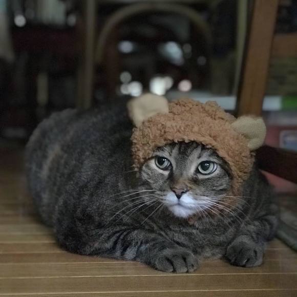 ogawafamily